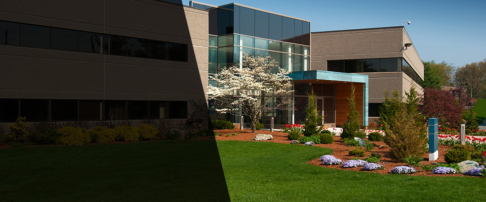 Vero Beach Landscapers