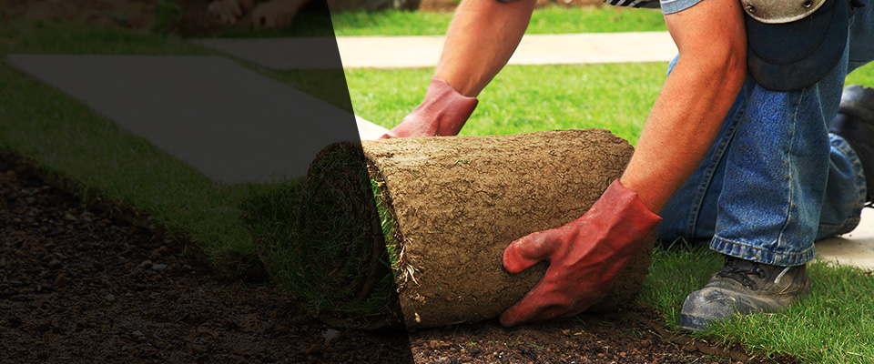 Vero Beach Landscapers